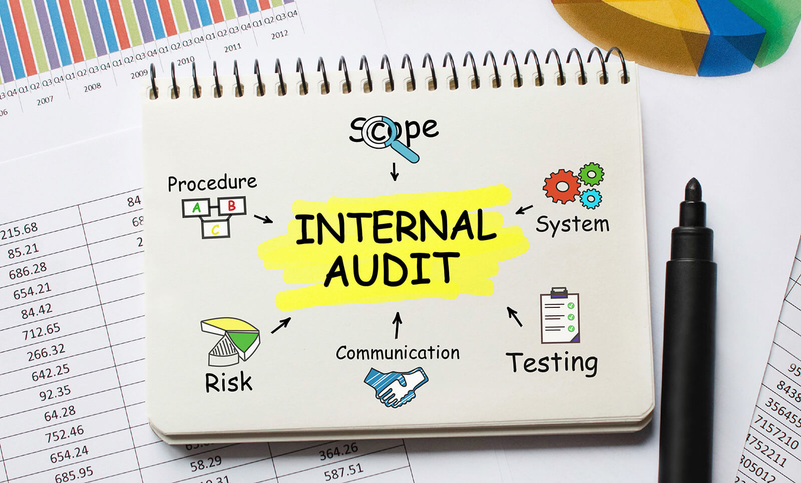 internal audits software